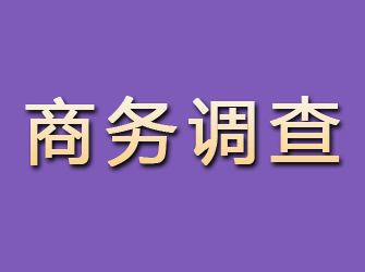 顺河商务调查